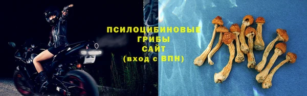 гидра Бородино