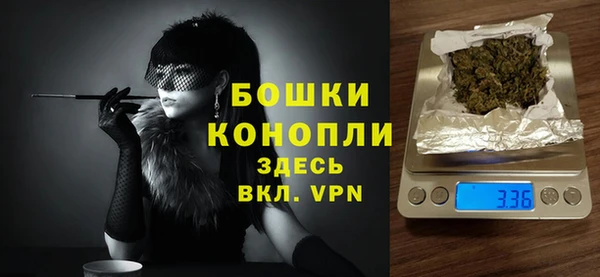 стаф Богданович