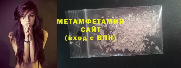 стаф Богданович