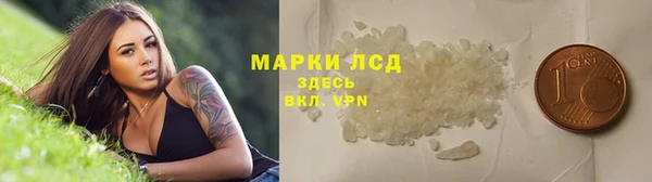 гидра Бородино