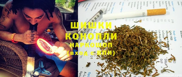 стаф Богданович