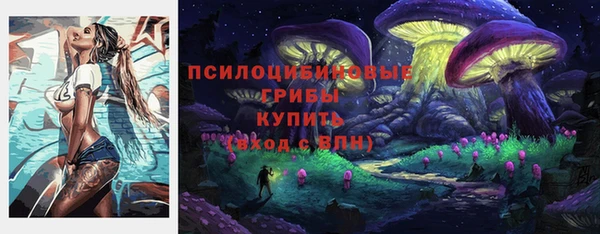 стаф Богданович
