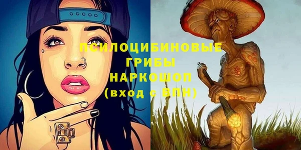 гидра Бородино