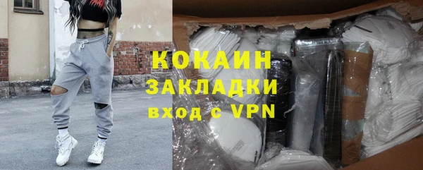 стаф Богданович