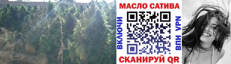 Дистиллят ТГК концентрат  KRAKEN зеркало  Мегион  купить наркоту 