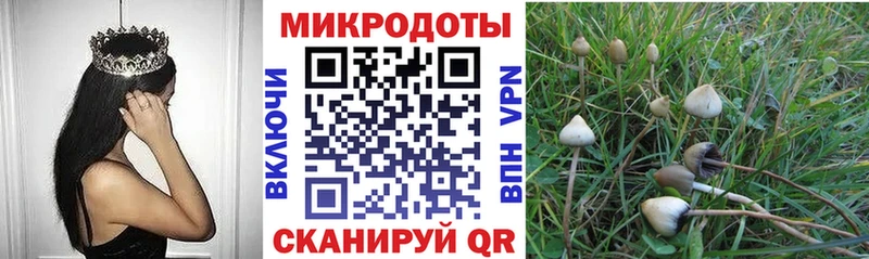Псилоцибиновые грибы Magic Shrooms  Мегион 